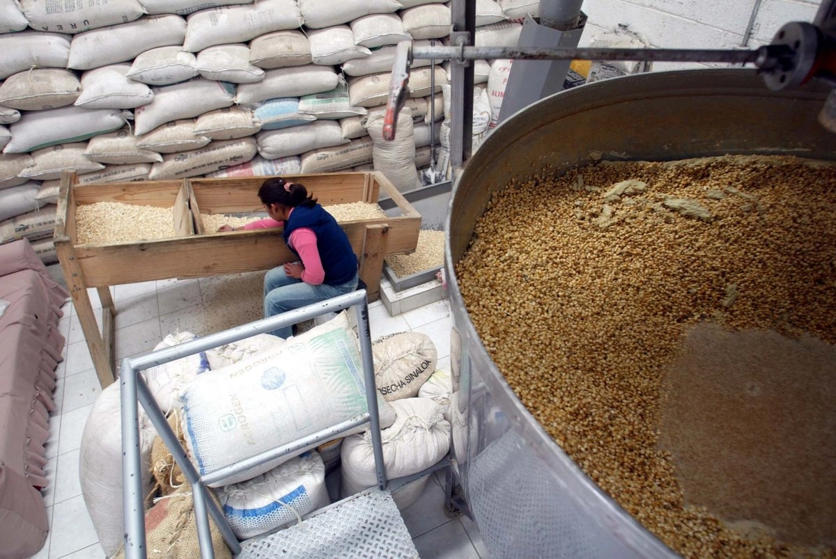 Importaciones de maíz alcanzan nivel inédito en el arranque de 2026 Importaciones de maíz alcanzan nivel inédito en el arranque de 2026