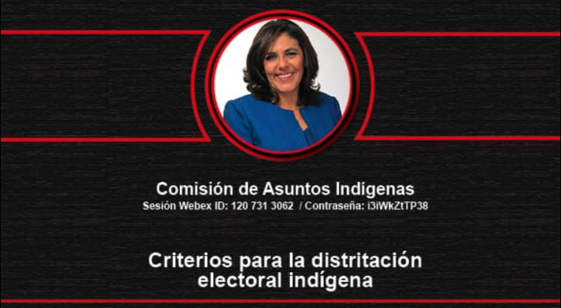 Criterios para la distritación electoral indígena Criterios para la distritación electoral indígena