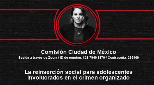 La resinserción social para adolescentes involucrados en el crimen organizado La resinserción social para adolescentes involucrados en el crimen organizado